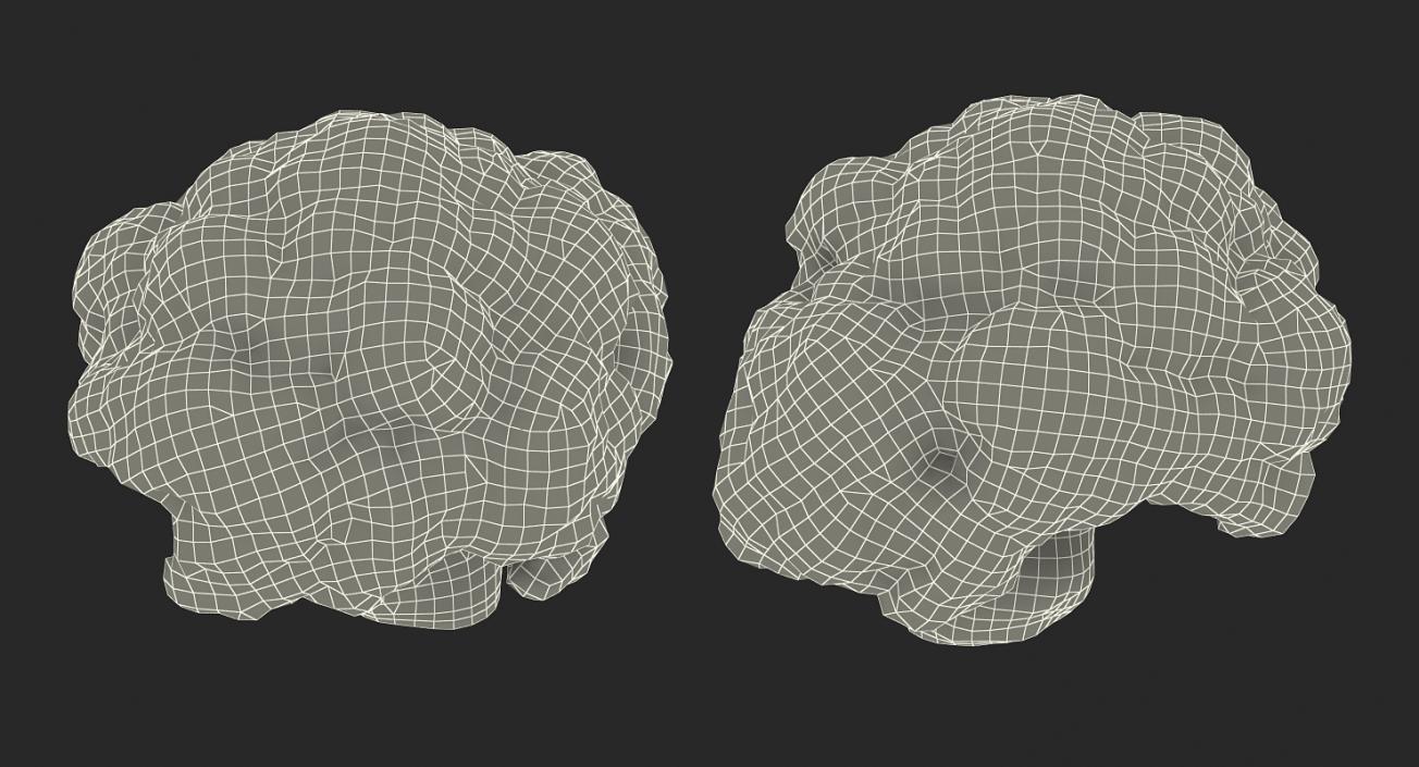 Cauliflower Piece 3D