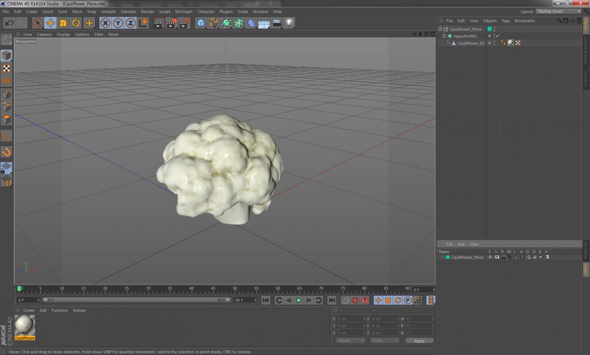 Cauliflower Piece 3D