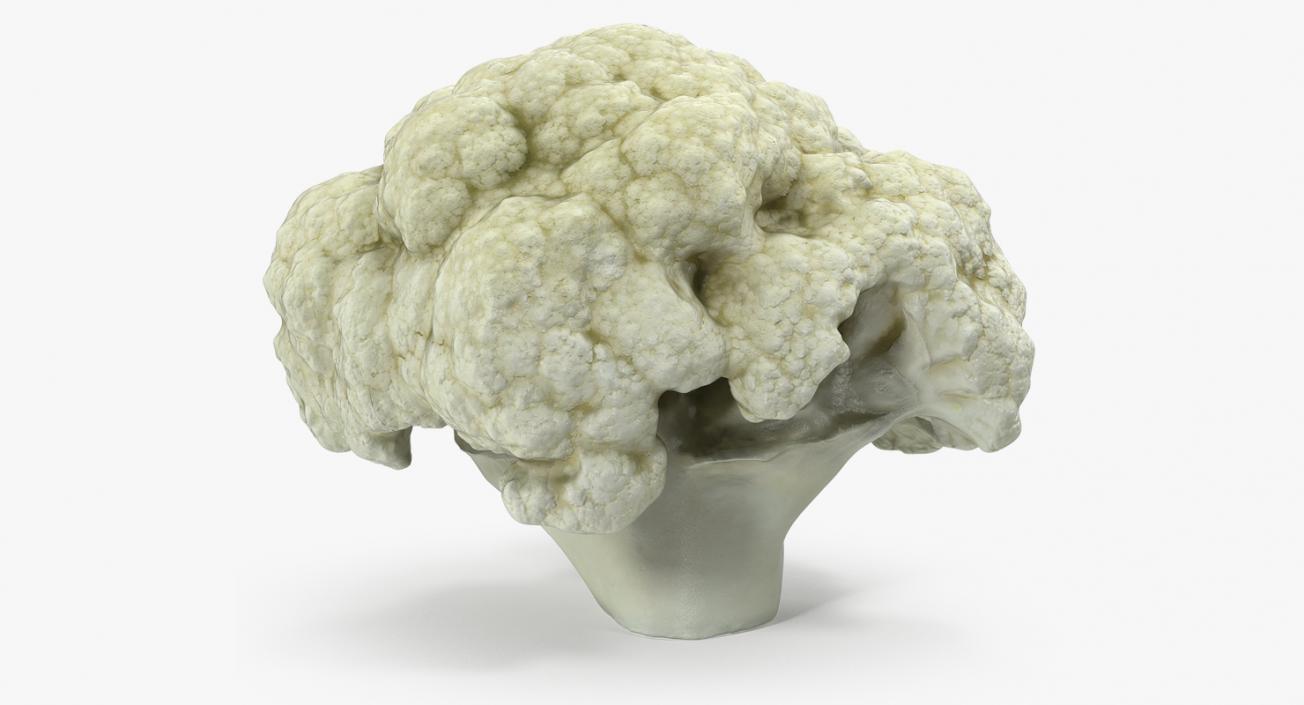 Cauliflower Piece 3D