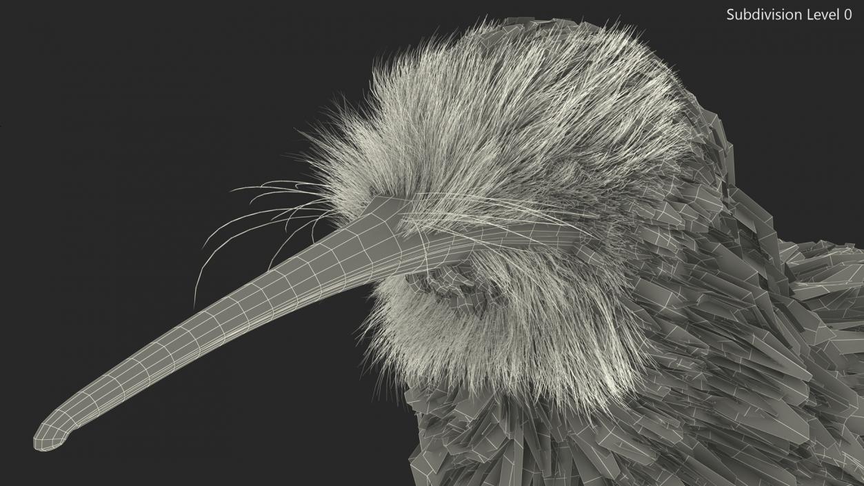 3D Kiwi Bird Fur model