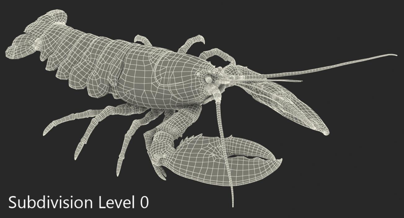 Lobster Pose 4 3D model