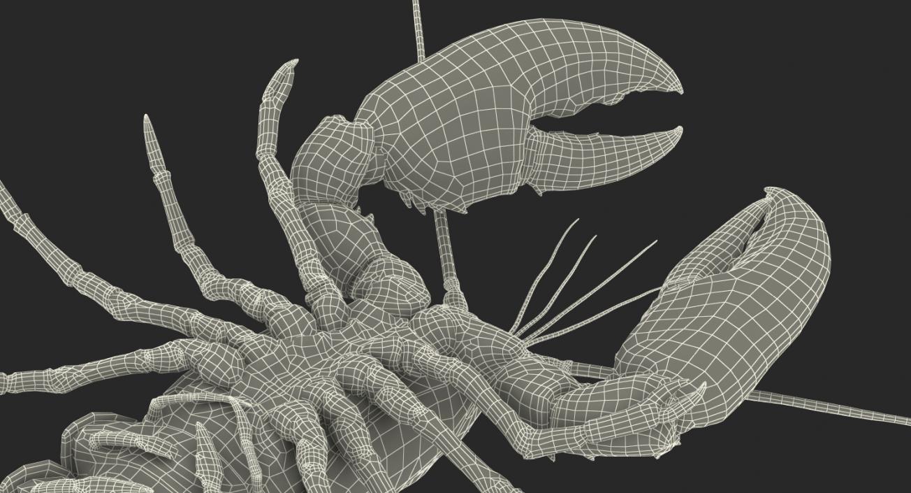 Lobster Pose 4 3D model