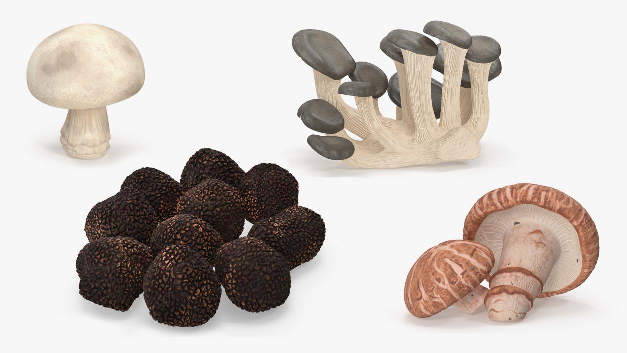 Edible Mushrooms Collection 7 3D model