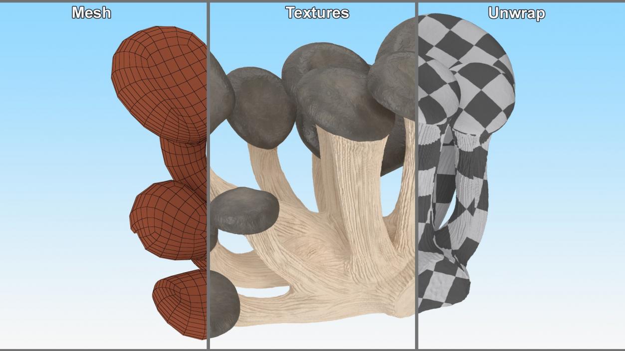 Edible Mushrooms Collection 7 3D model