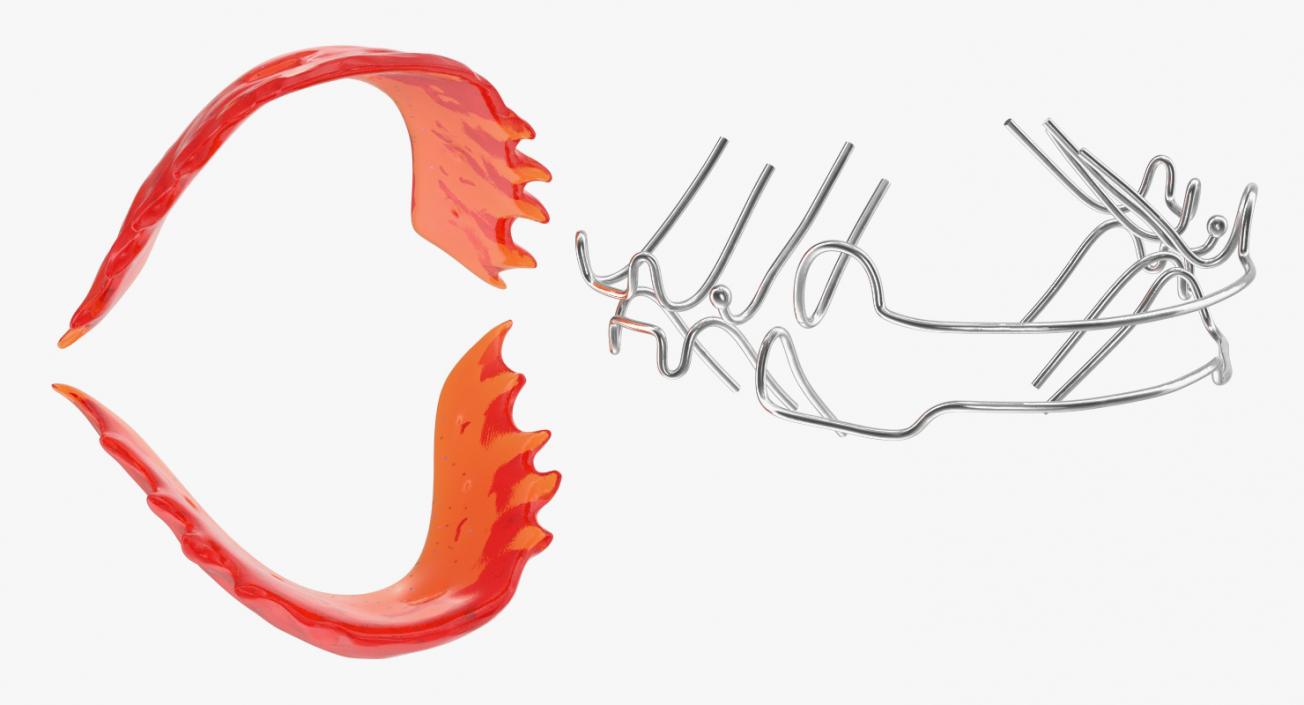 3D Dental Tooth Braces and Retainer Collection model