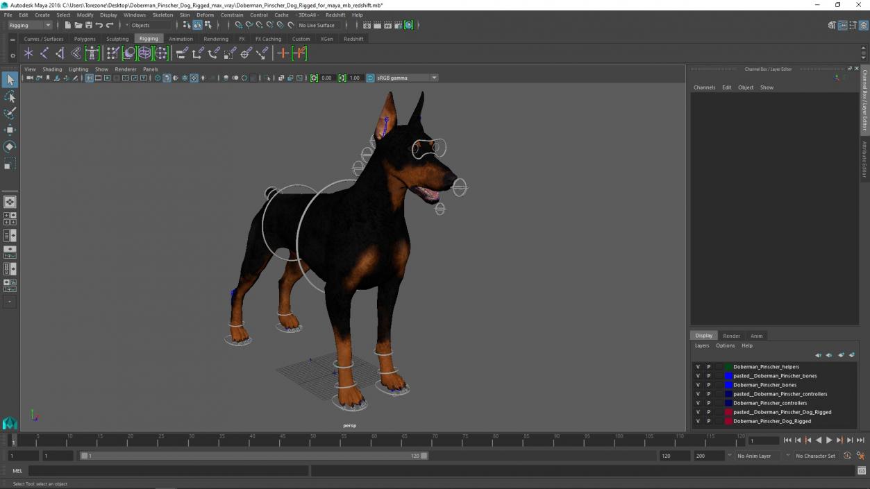 Doberman Pinscher Dog Rigged for Maya 3D