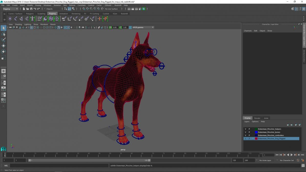 Doberman Pinscher Dog Rigged for Maya 3D