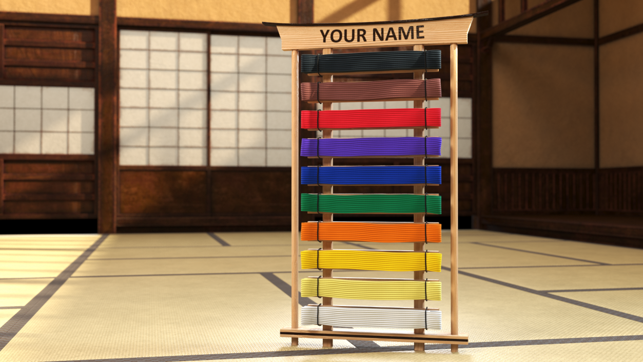 Display Rack for Karate Belts 3D model