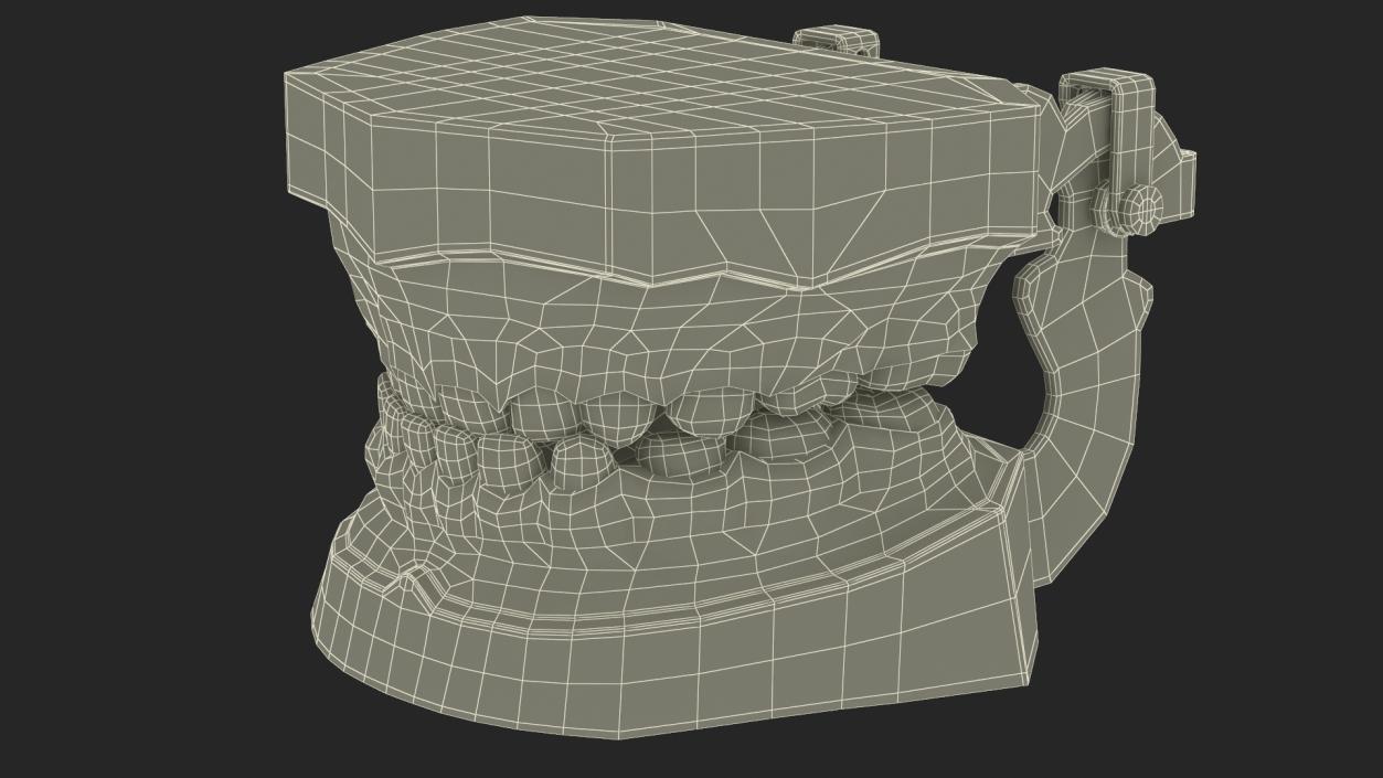 3D Typodont Teaching Studying Model with Removable Underbite Teeth model