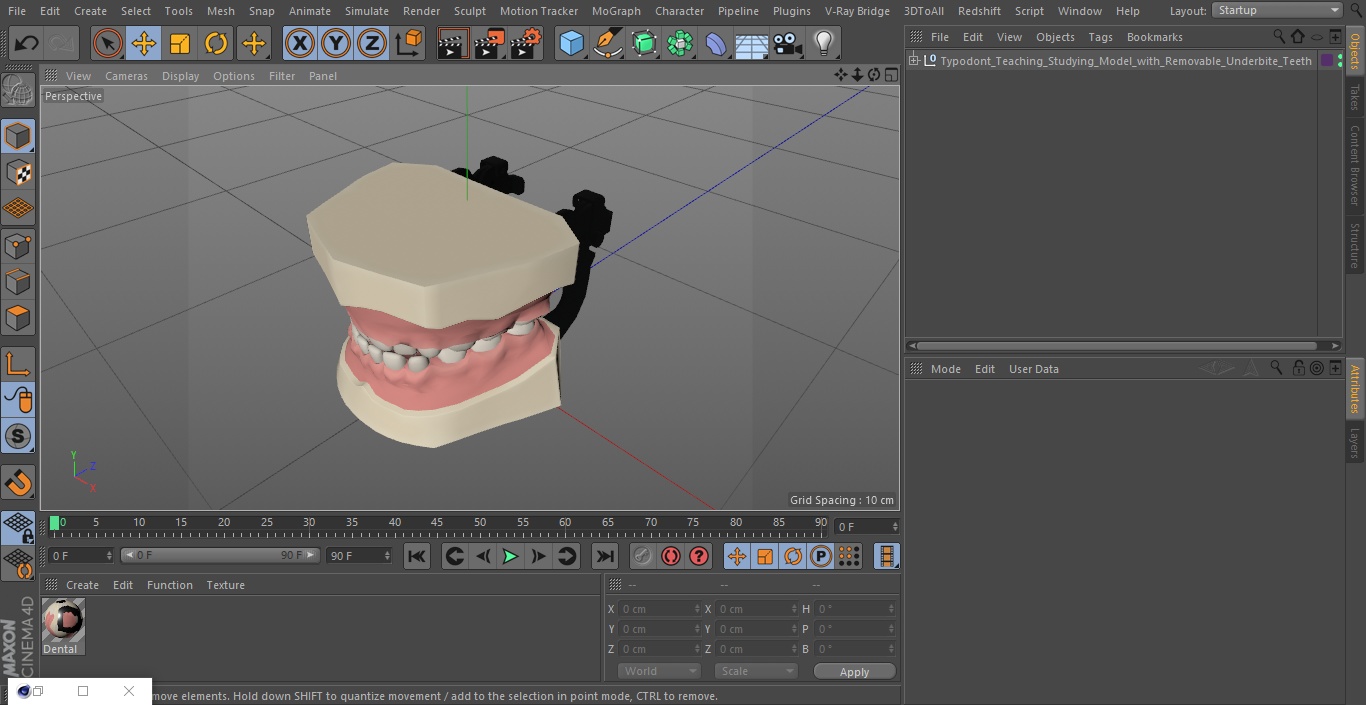 3D Typodont Teaching Studying Model with Removable Underbite Teeth model