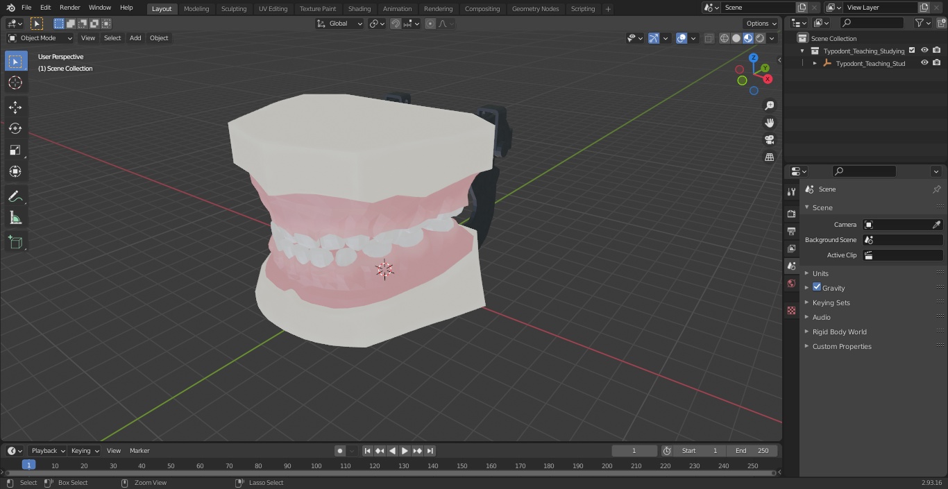 3D Typodont Teaching Studying Model with Removable Underbite Teeth model