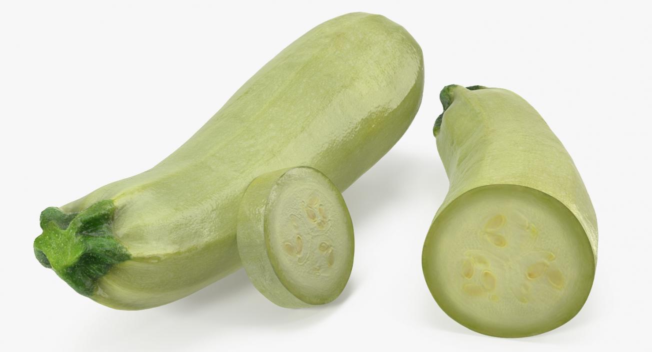 3D Summer Squash Gray Zucchini Collection model