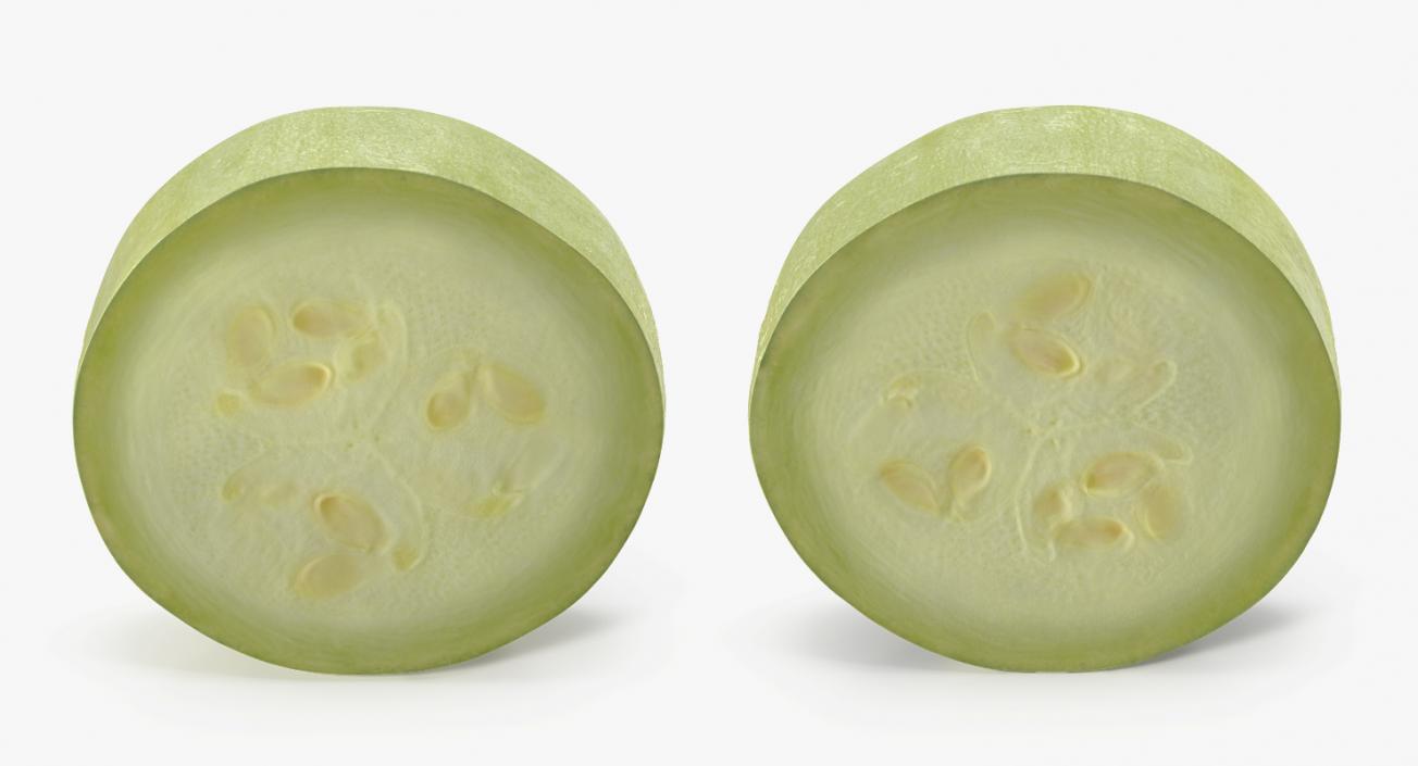 3D Summer Squash Gray Zucchini Collection model