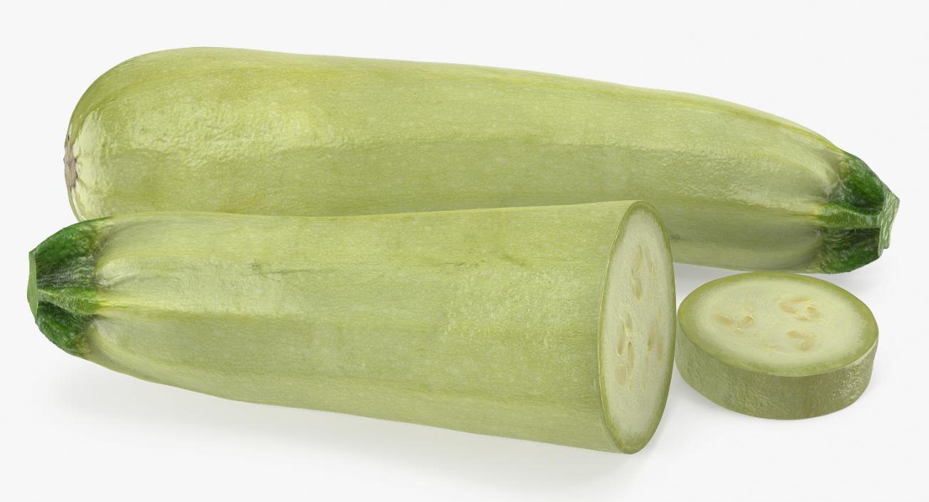 3D Summer Squash Gray Zucchini Collection model