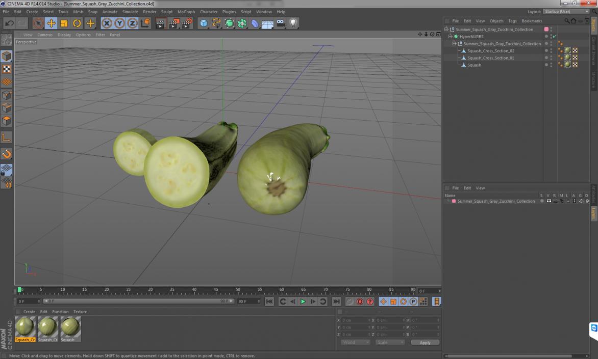 3D Summer Squash Gray Zucchini Collection model