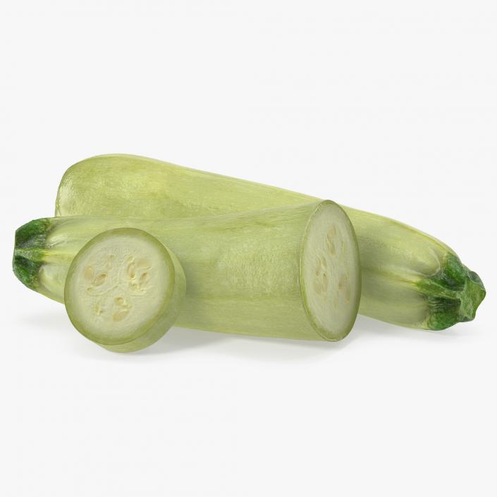 3D Summer Squash Gray Zucchini Collection model