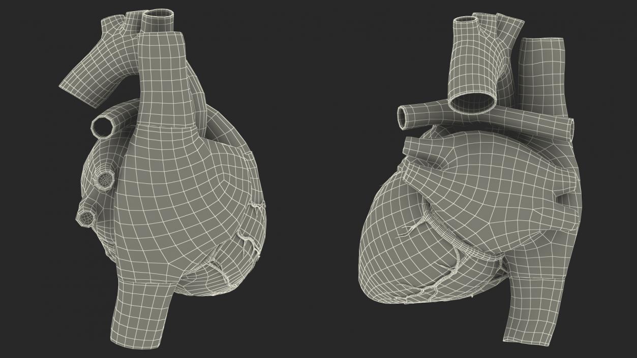 Boy Heart 3D model