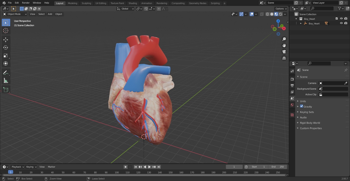 Boy Heart 3D model