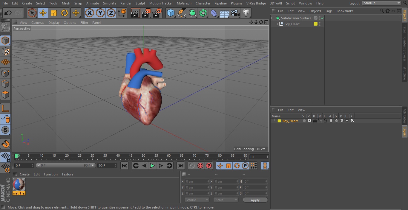 Boy Heart 3D model