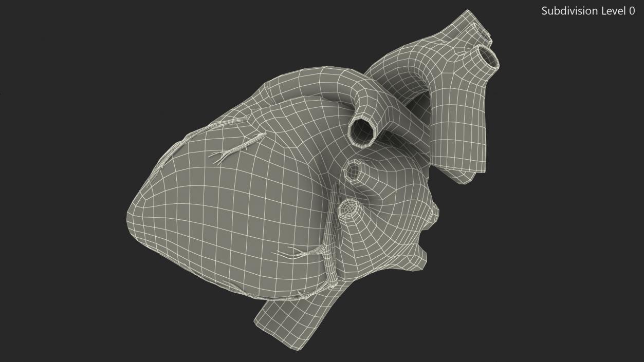 Boy Heart 3D model