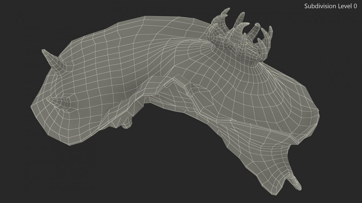 3D Kubaryana Sea Slug model