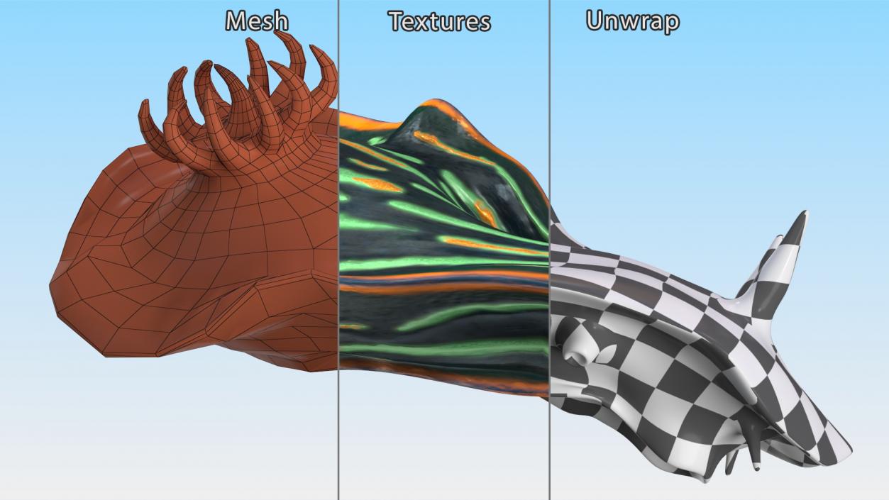 3D Kubaryana Sea Slug model