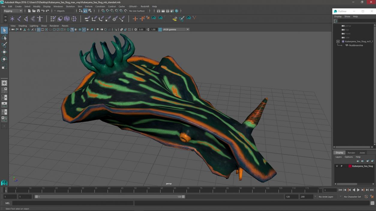 3D Kubaryana Sea Slug model