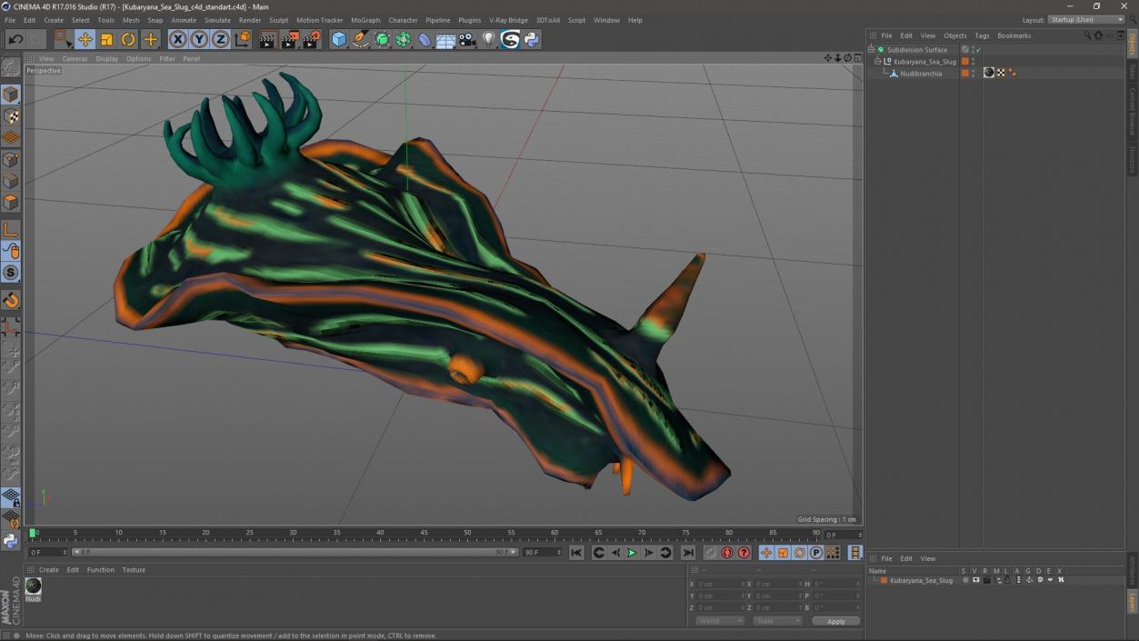 3D Kubaryana Sea Slug model