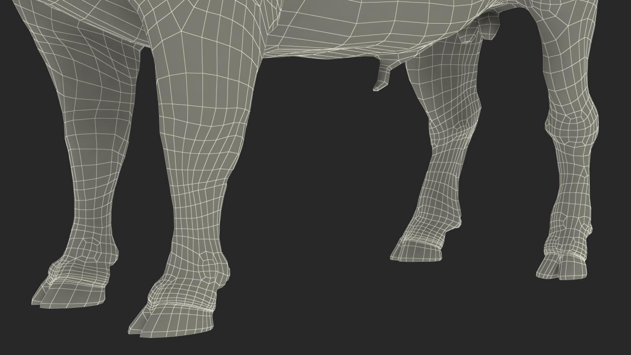 3D model American Bison with Fur Rigged