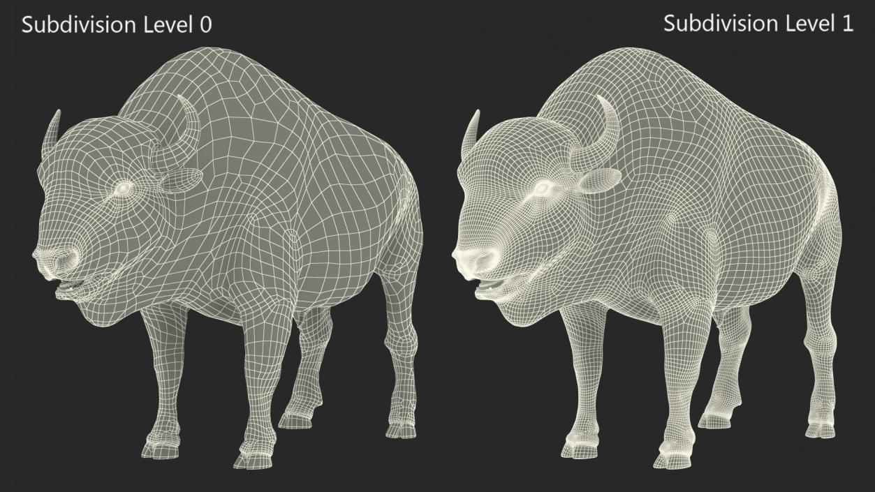 3D model American Bison with Fur Rigged