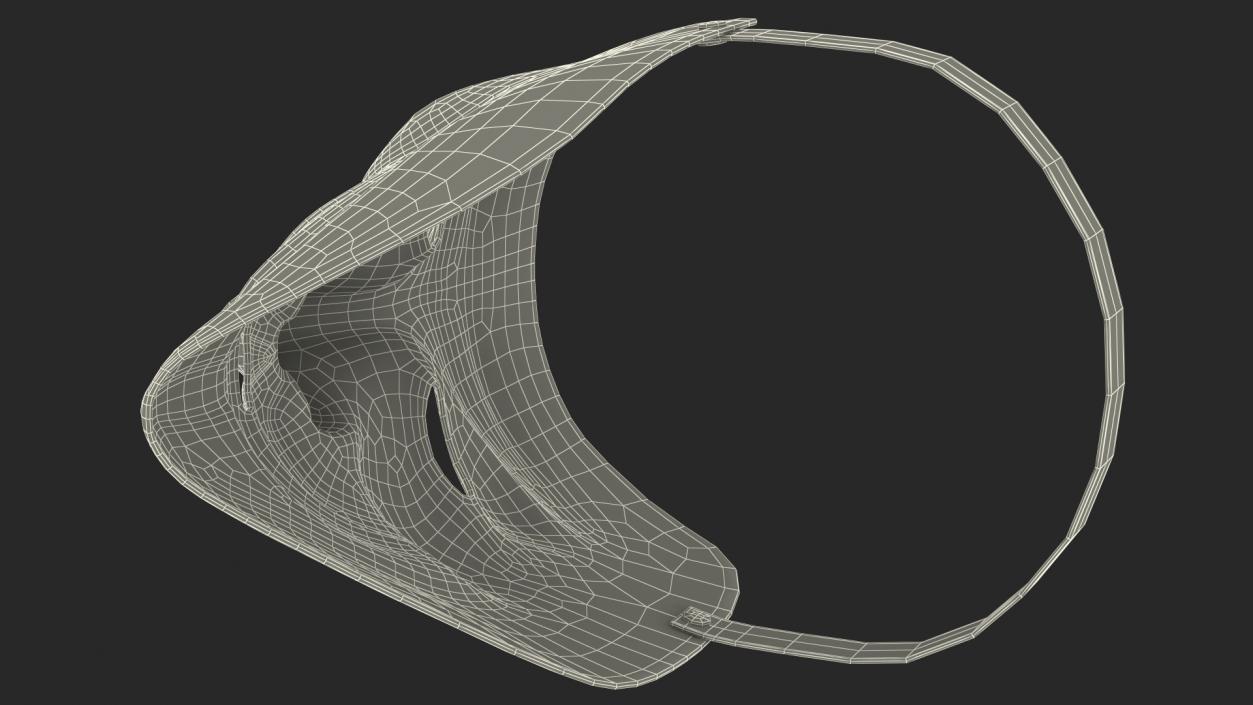 3D Anonymous Mask with Teardrop model