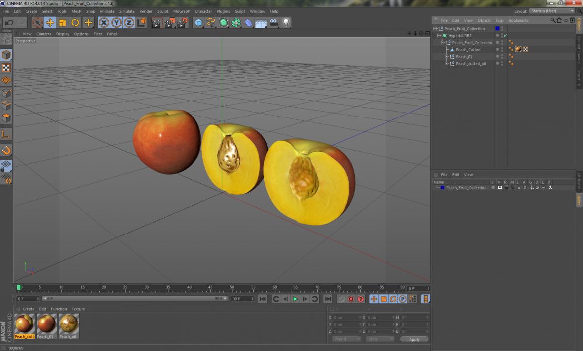 Peach Fruit Collection 3D