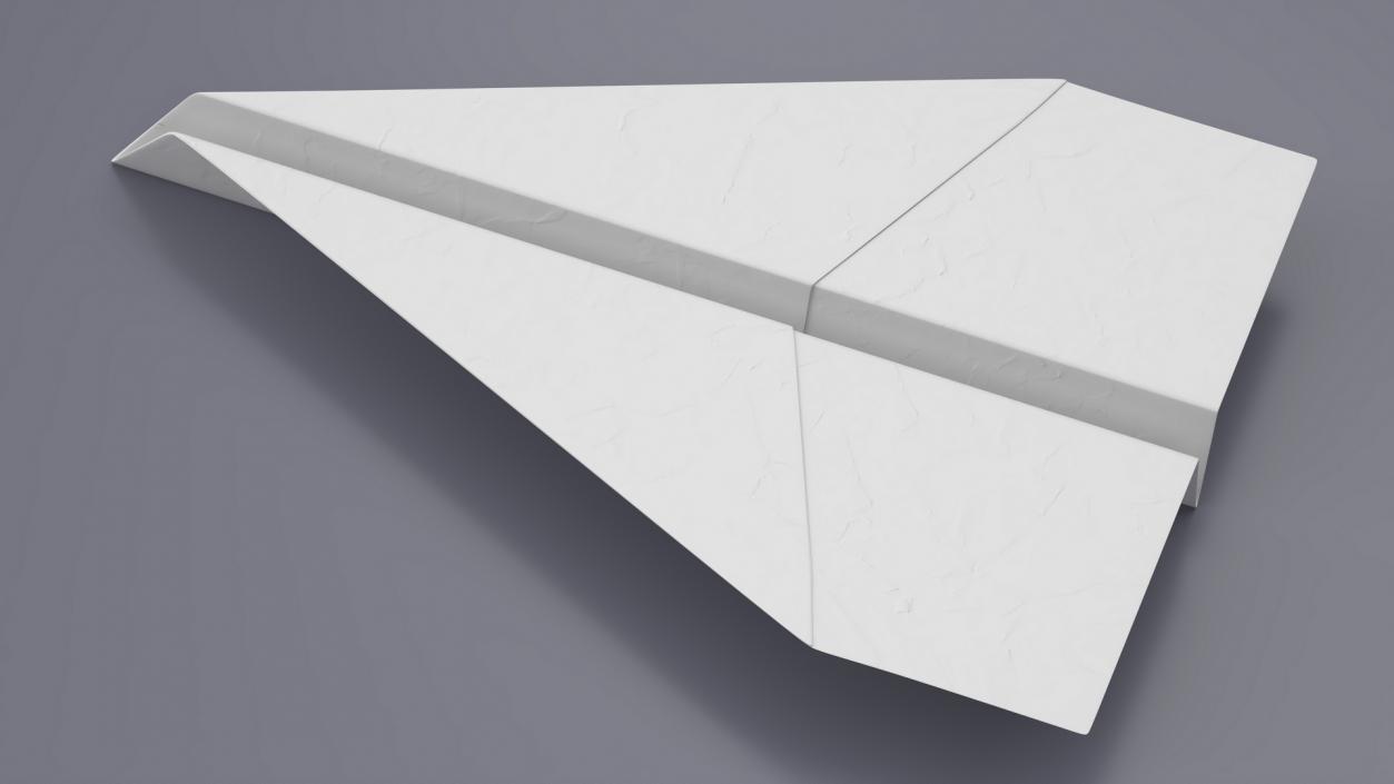 Paper Airplane 3D model