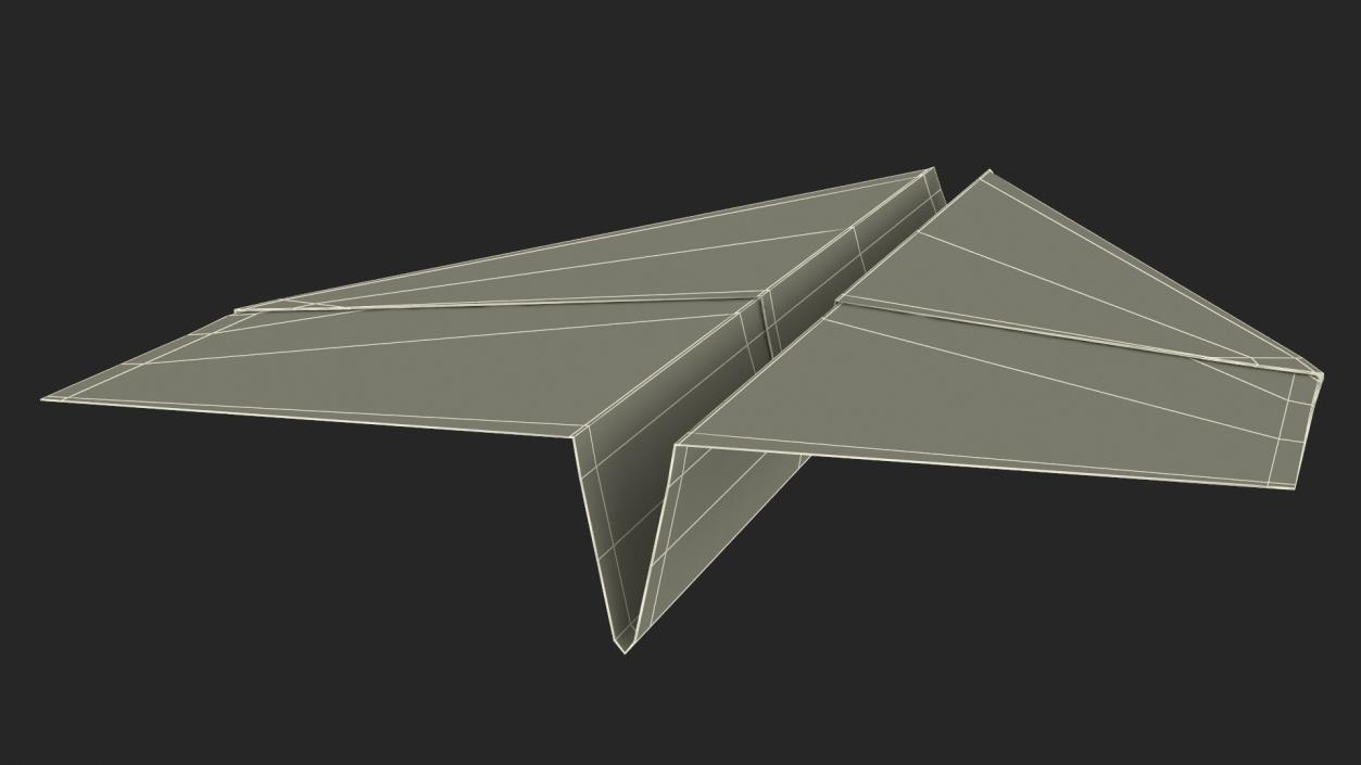 Paper Airplane 3D model