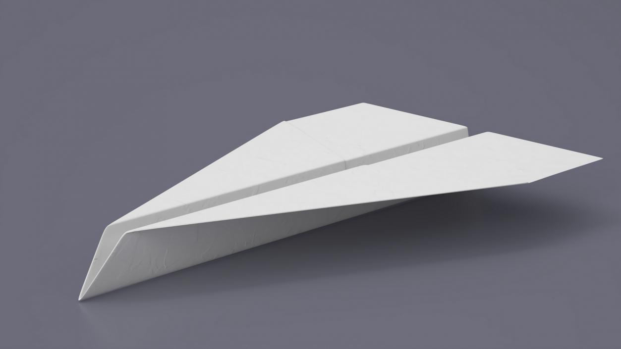 Paper Airplane 3D model