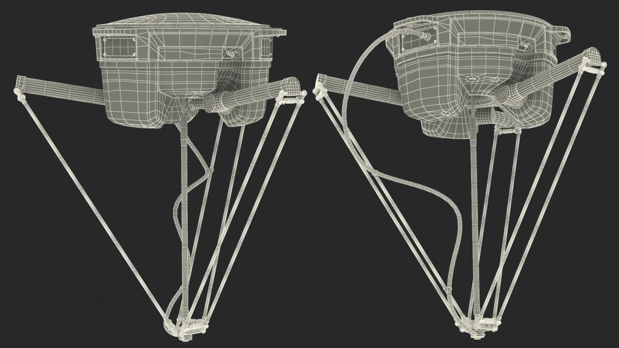 Packaging Parallel Robot 3D model