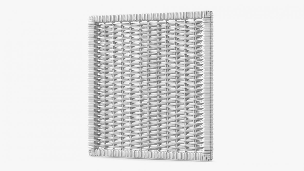 3D Rattan Panel White model