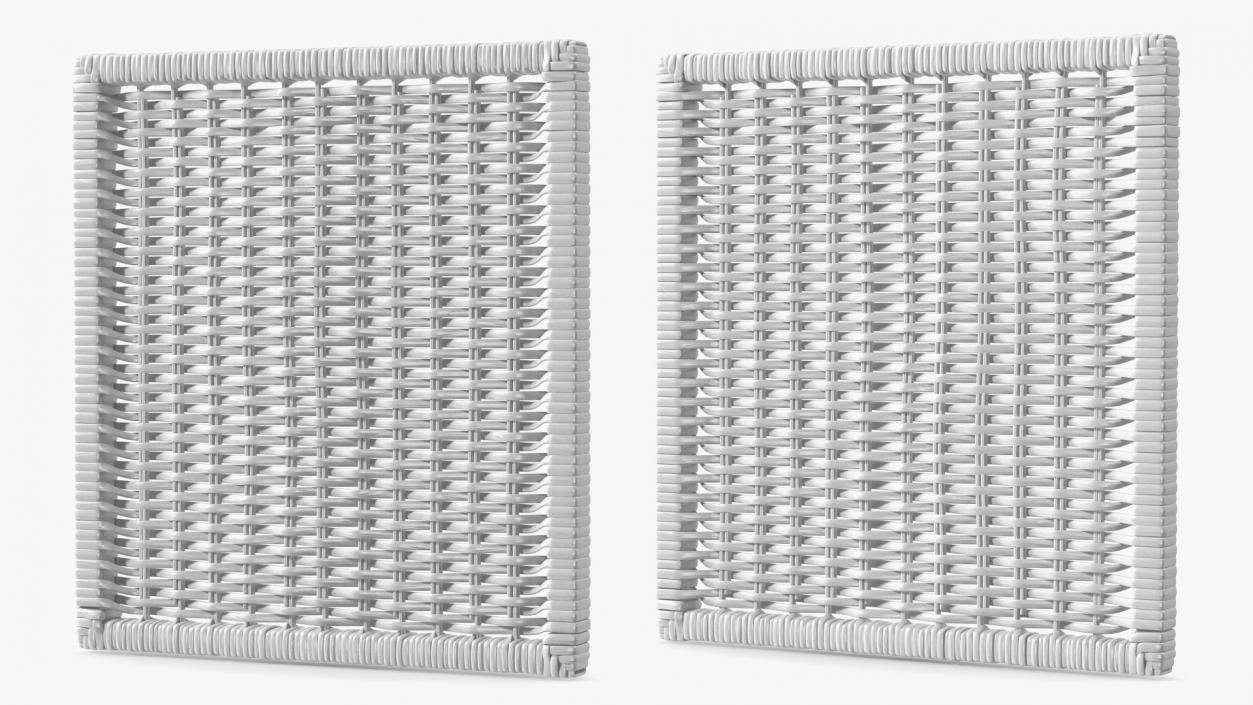 3D Rattan Panel White model