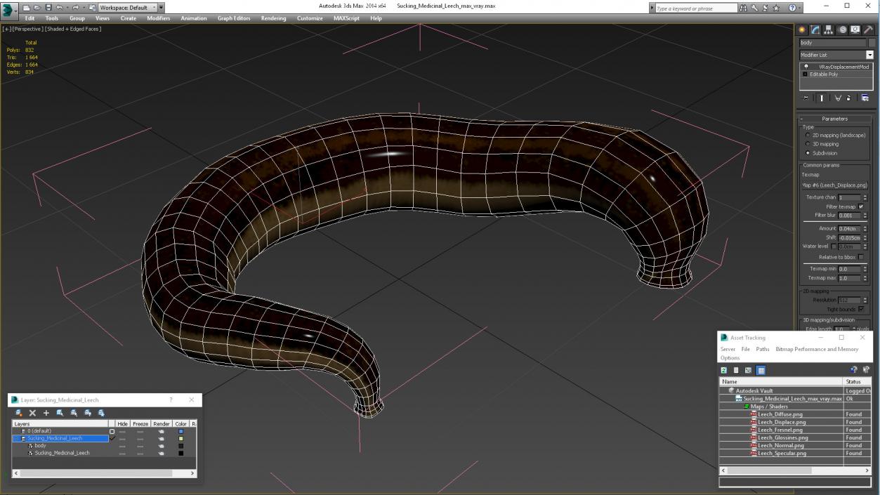 3D Sucking Medicinal Leech model