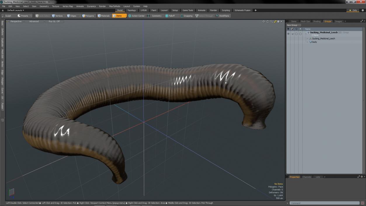 3D Sucking Medicinal Leech model