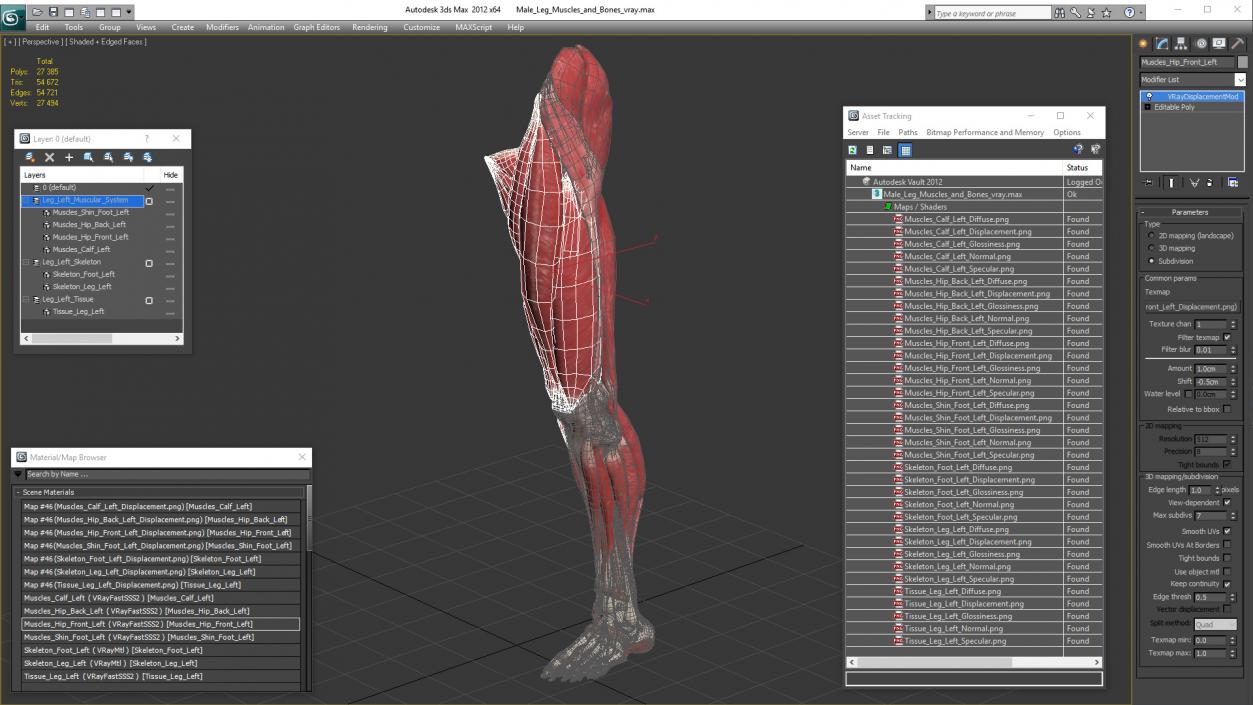 3D Male Leg Muscles and Bones