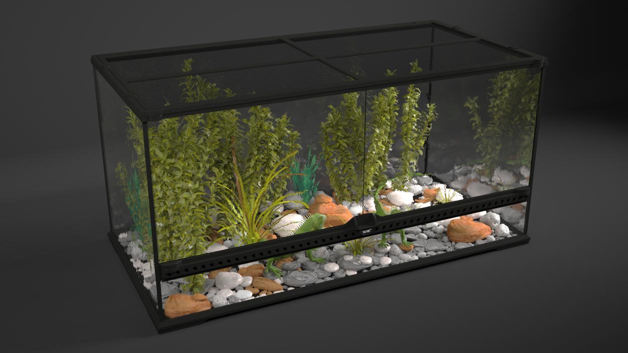 3D model Exotic Animals Long Terrarium with Pair of Iguanas