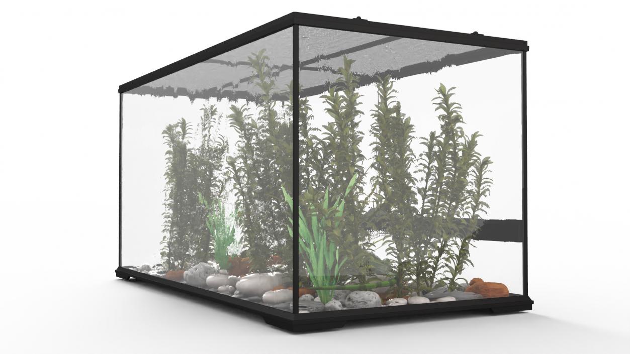 3D model Exotic Animals Long Terrarium with Pair of Iguanas