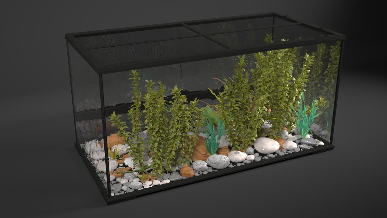 3D model Exotic Animals Long Terrarium with Pair of Iguanas