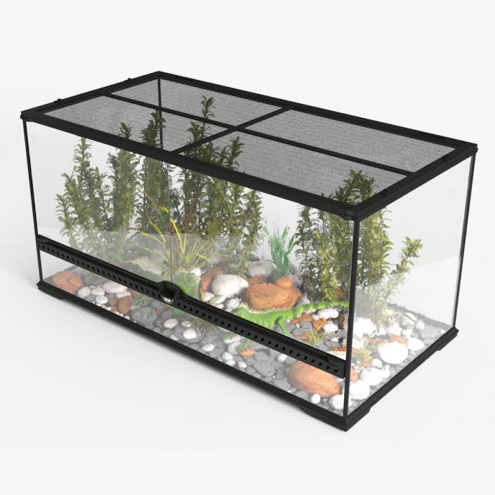 3D model Exotic Animals Long Terrarium with Pair of Iguanas