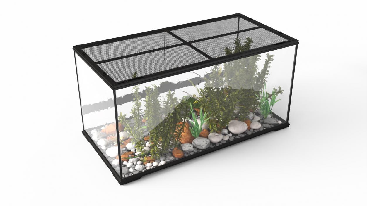 3D model Exotic Animals Long Terrarium with Pair of Iguanas