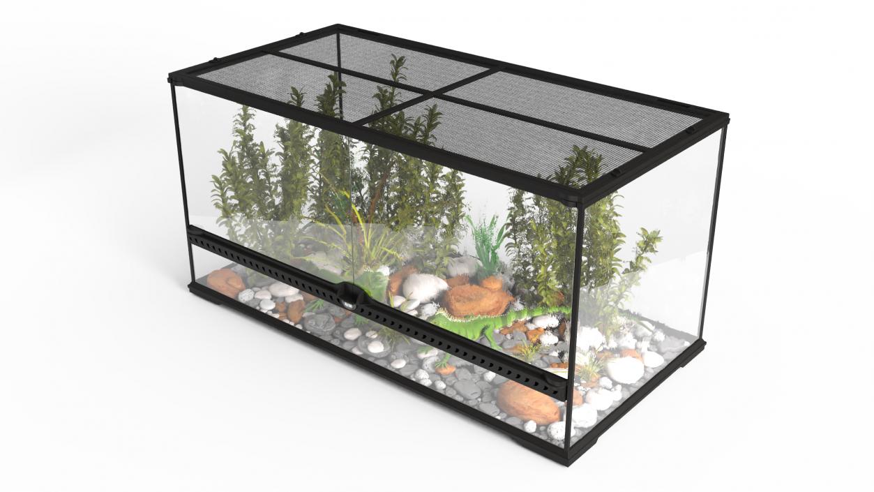 3D model Exotic Animals Long Terrarium with Pair of Iguanas