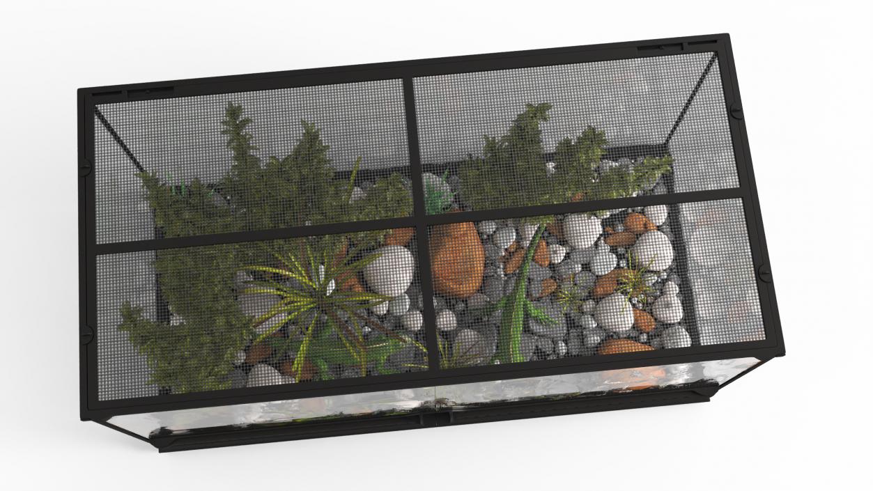 3D model Exotic Animals Long Terrarium with Pair of Iguanas