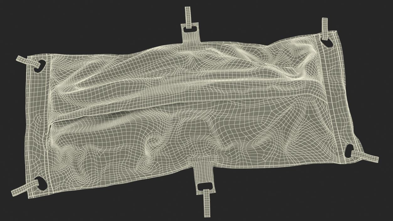 3D Dead Body Bag model