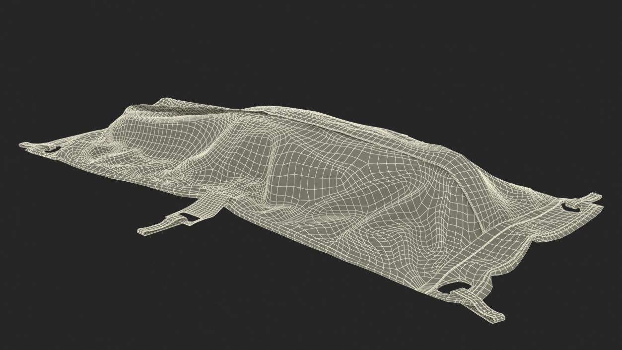 3D Dead Body Bag model